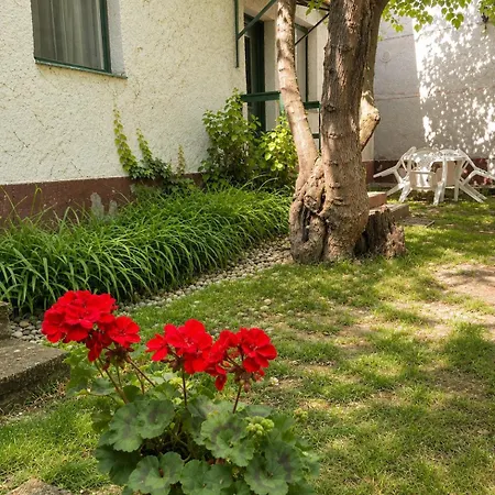 Apartmán Tomaji Szederfas - Ket Lepesre A Koezponttol - Ingyenes Parkolas!