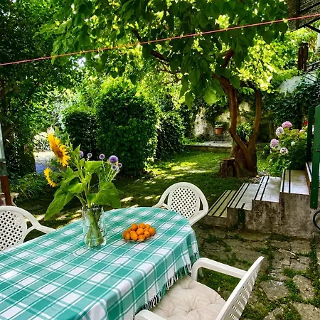 Tomaji Szederfas - Ket Lepesre A Koezponttol - Ingyenes Parkolas! * Badacsonytomaj